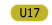 U17